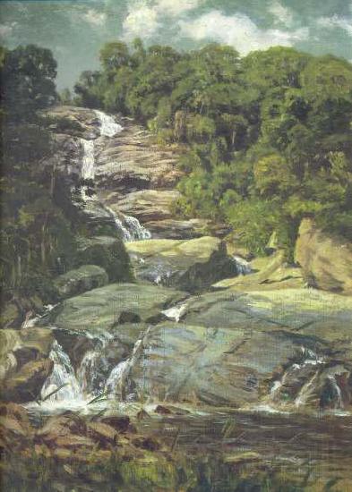 Nicolas-Antoine Taunay Small Cascade in Tijuca France oil painting art